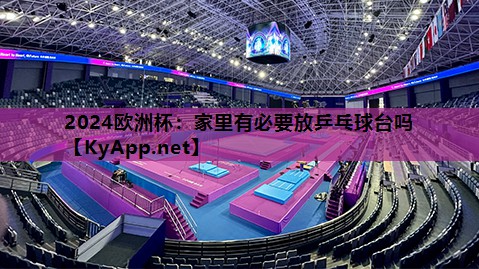 2024欧洲杯：家里有必要放乒乓球台吗