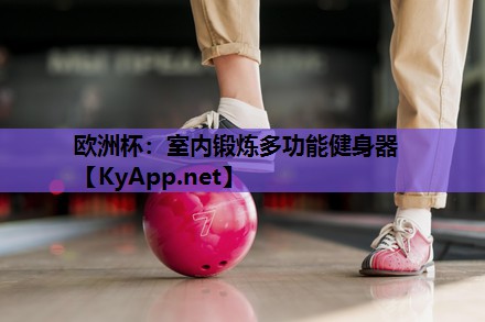 欧洲杯：室内锻炼多功能健身器