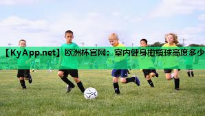 欧洲杯官网：室内健身橄榄球高度多少