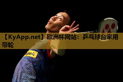 欧洲杯网站：乒乓球台家用带轮