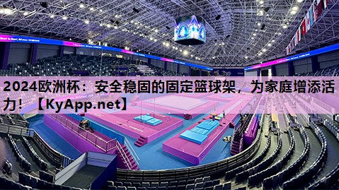 2024欧洲杯：安全稳固的固定篮球架，为家庭增添活力！
