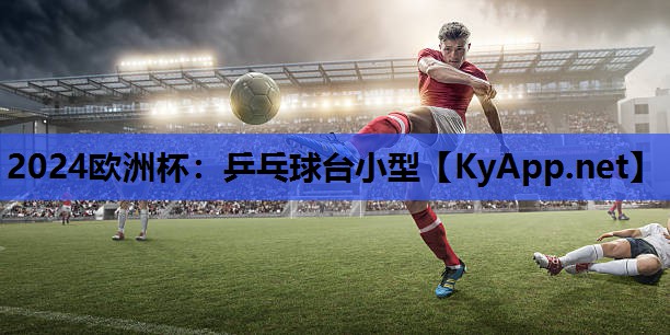 2024欧洲杯：乒乓球台小型