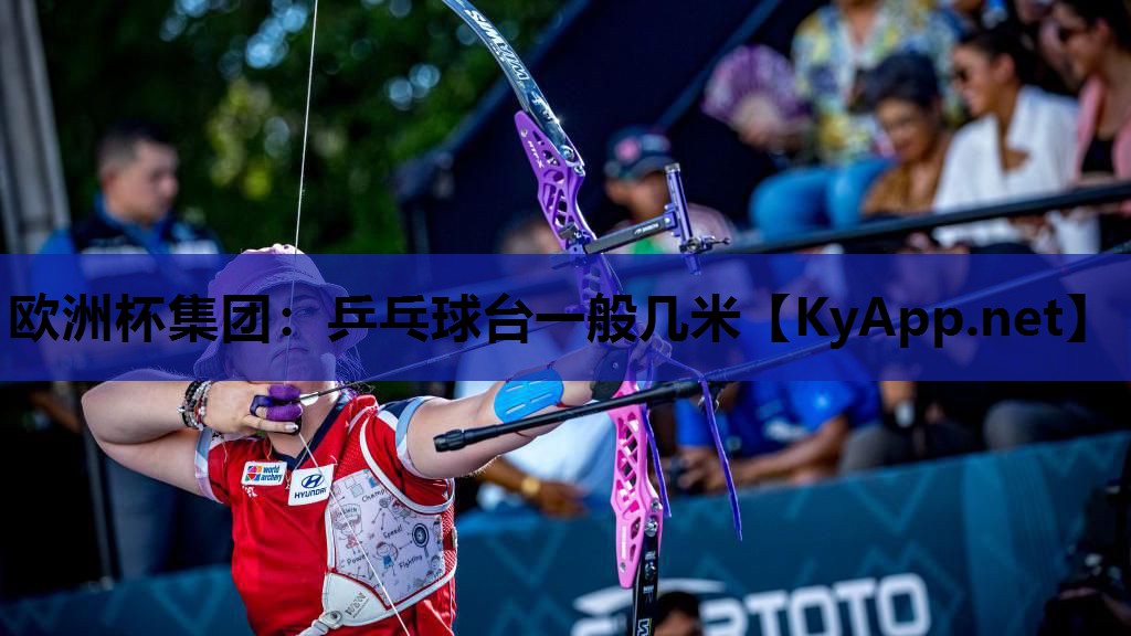 欧洲杯集团：乒乓球台一般几米