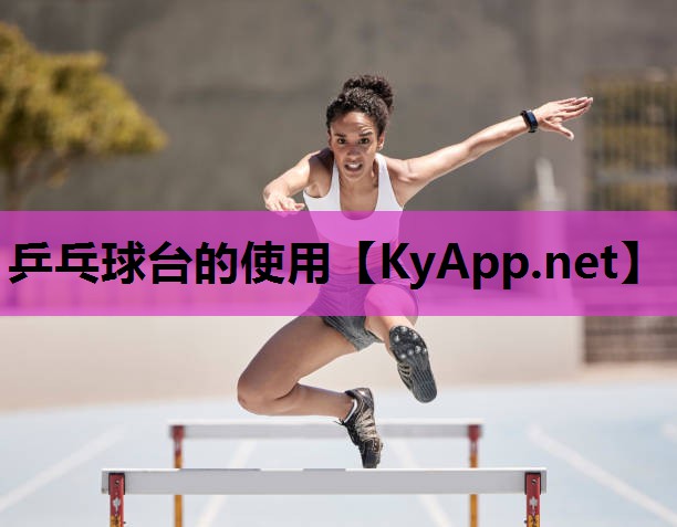 乒乓球台的使用