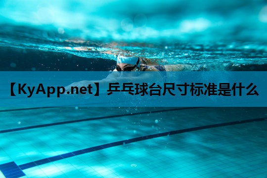乒乓球台尺寸标准是什么