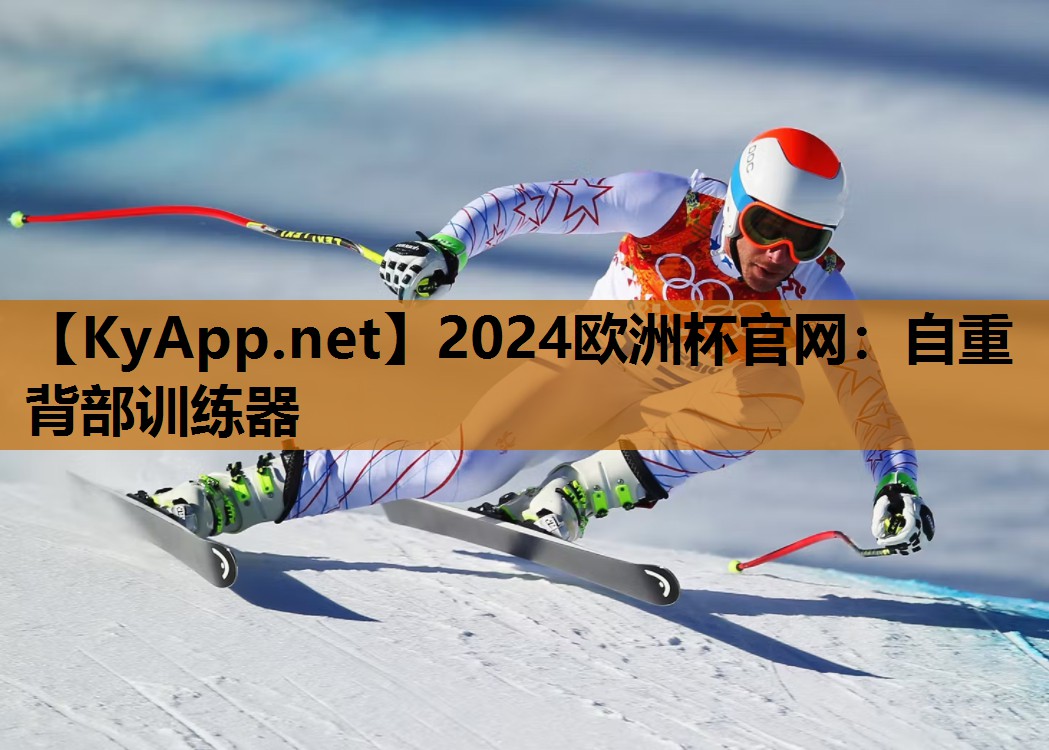 2024欧洲杯官网：自重背部训练器