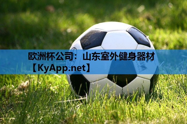 欧洲杯公司：山东室外健身器材