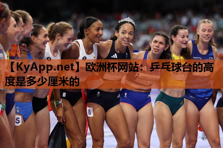 欧洲杯网站：乒乓球台的高度是多少厘米的