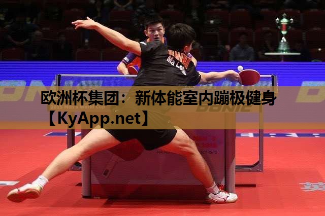 欧洲杯集团：新体能室内蹦极健身