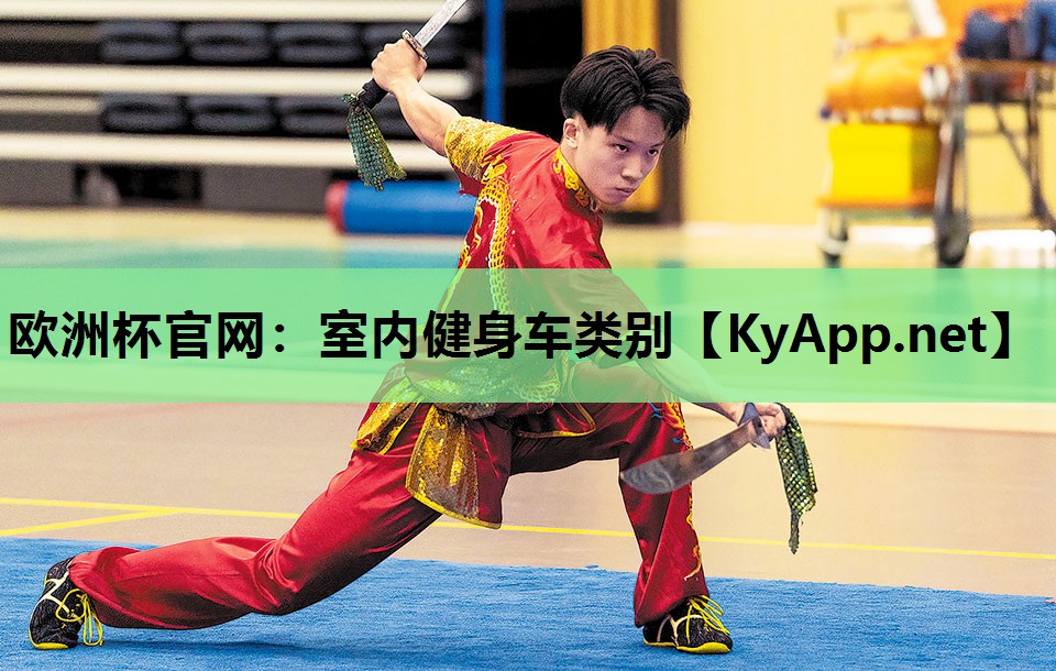 欧洲杯官网：室内健身车类别