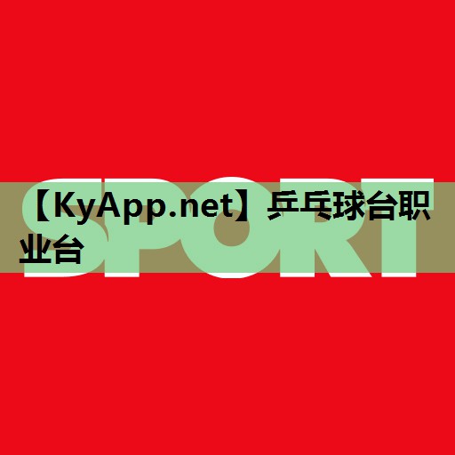 乒乓球台职业台