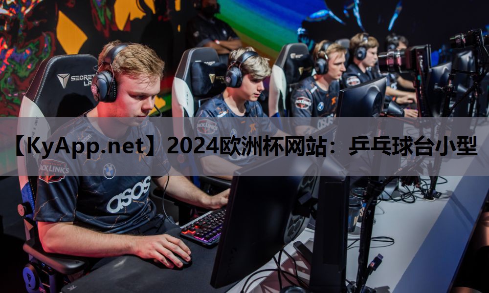2024欧洲杯网站：乒乓球台小型