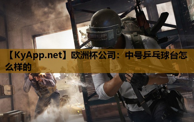 欧洲杯公司：中号乒乓球台怎么样的