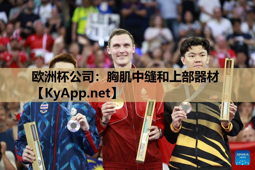 欧洲杯公司：胸肌中缝和上部器材