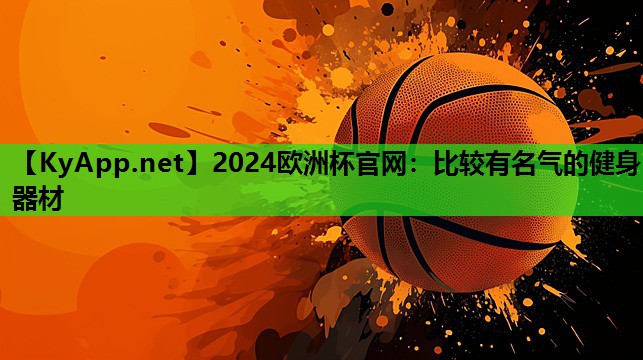 2024欧洲杯官网：比较有名气的健身器材