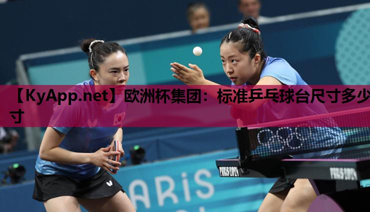 欧洲杯集团：标准乒乓球台尺寸多少寸