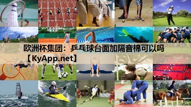 欧洲杯集团：乒乓球台面加隔音棉可以吗