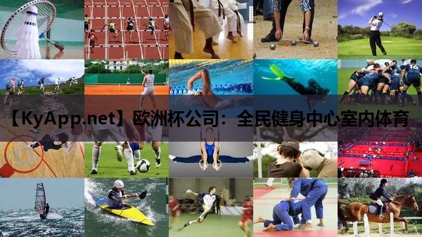 欧洲杯公司：全民健身中心室内体育