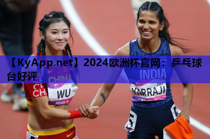 2024欧洲杯官网：乒乓球台好评