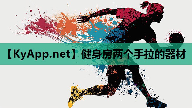 健身房两个手拉的器材
