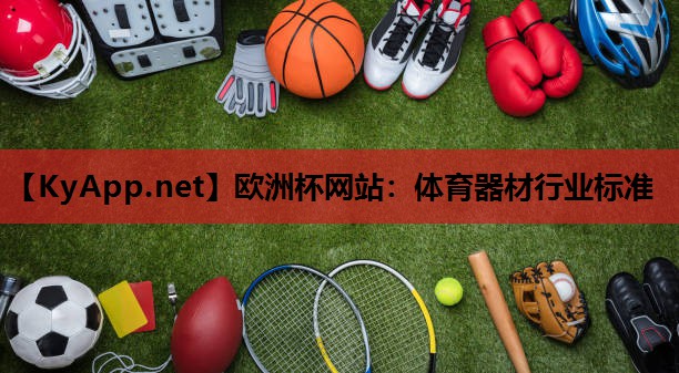 欧洲杯网站：体育器材行业标准