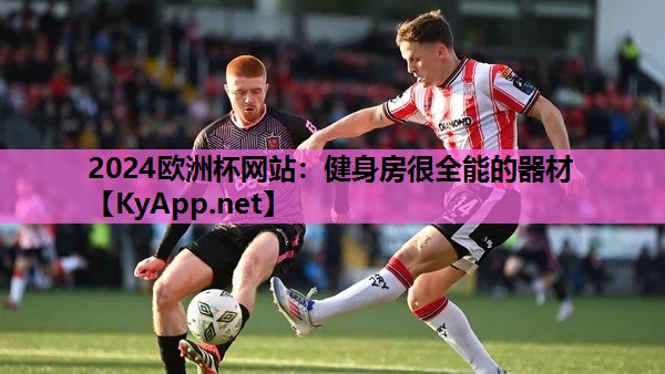 2024欧洲杯网站：健身房很全能的器材
