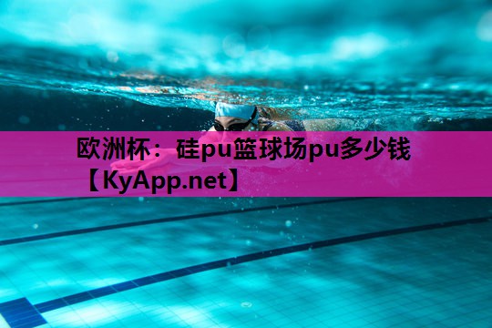 欧洲杯：硅pu篮球场pu多少钱