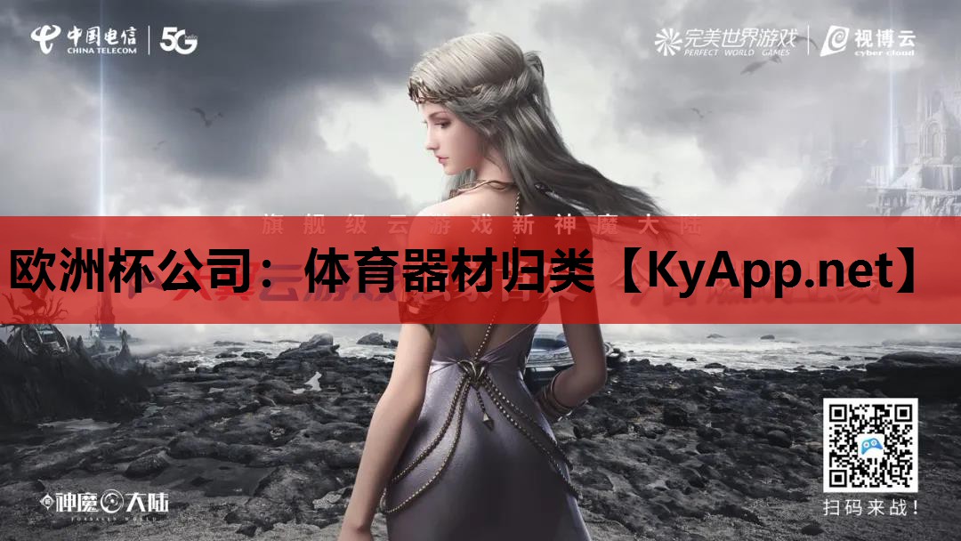 欧洲杯公司：体育器材归类