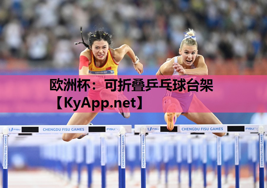 欧洲杯：可折叠乒乓球台架