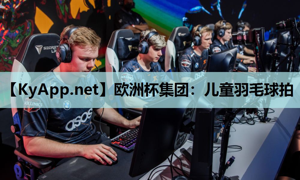 欧洲杯集团：儿童羽毛球拍