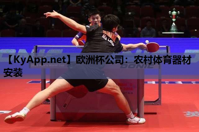 欧洲杯公司：农村体育器材安装