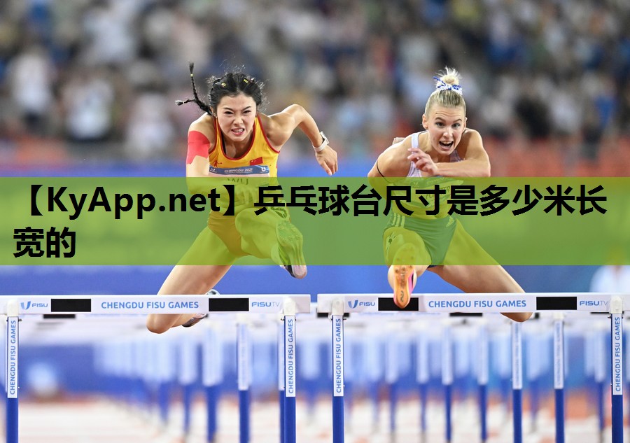 乒乓球台尺寸是多少米长宽的