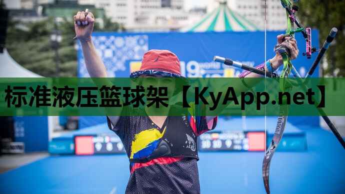 标准液压篮球架