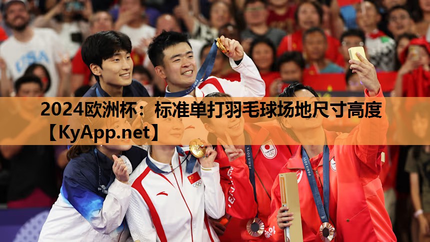 2024欧洲杯：标准单打羽毛球场地尺寸高度