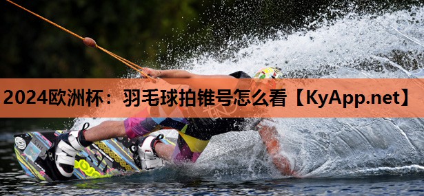 2024欧洲杯：羽毛球拍锥号怎么看