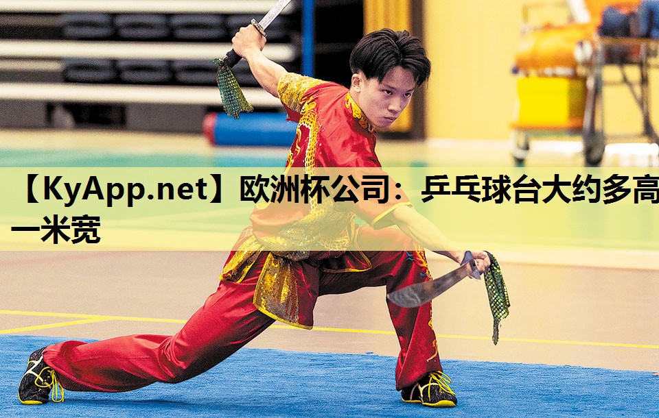 欧洲杯公司：乒乓球台大约多高一米宽