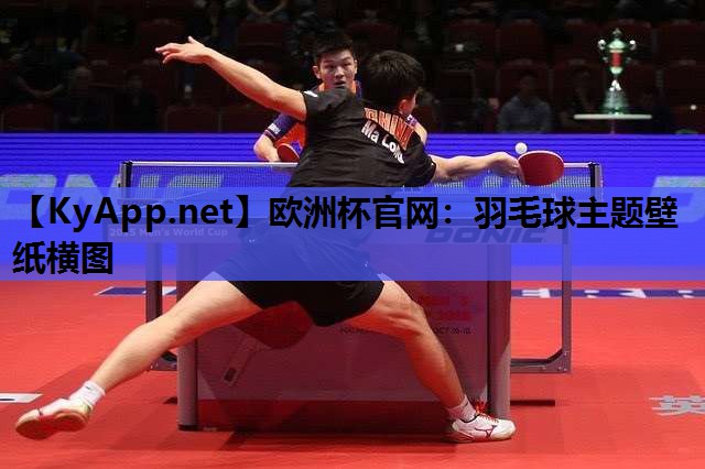 欧洲杯官网：羽毛球主题壁纸横图