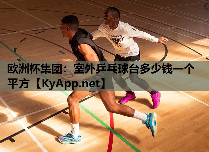 欧洲杯集团：室外乒乓球台多少钱一个平方