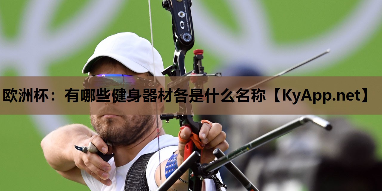 欧洲杯：有哪些健身器材各是什么名称