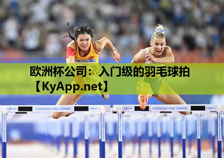 欧洲杯公司：入门级的羽毛球拍