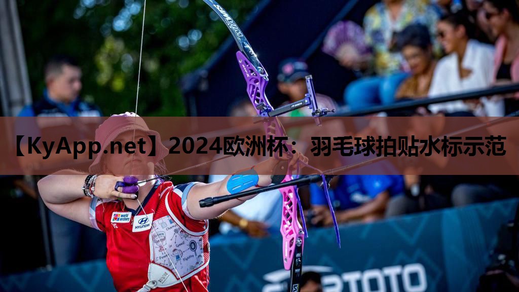 2024欧洲杯：羽毛球拍贴水标示范