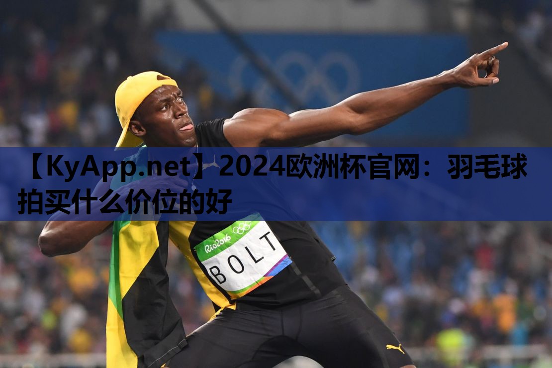 2024欧洲杯官网：羽毛球拍买什么价位的好