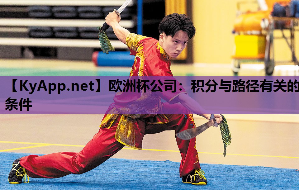 欧洲杯公司：积分与路径有关的条件