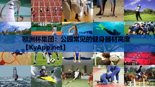 欧洲杯集团：公园常见的健身器材高度