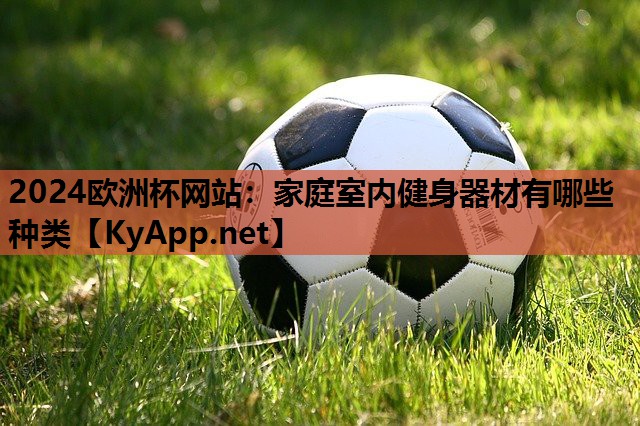 2024欧洲杯网站：家庭室内健身器材有哪些种类