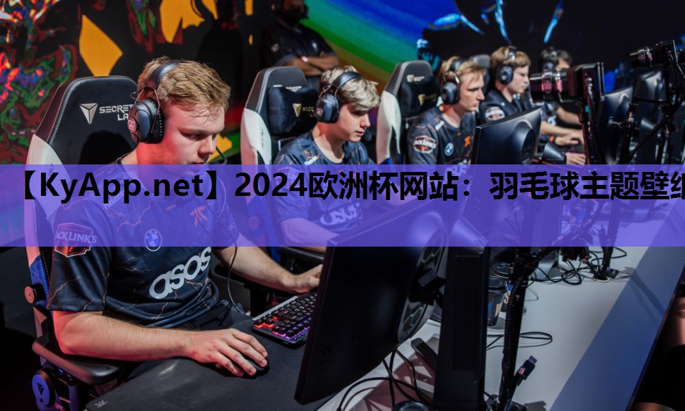 2024欧洲杯网站：羽毛球主题壁纸