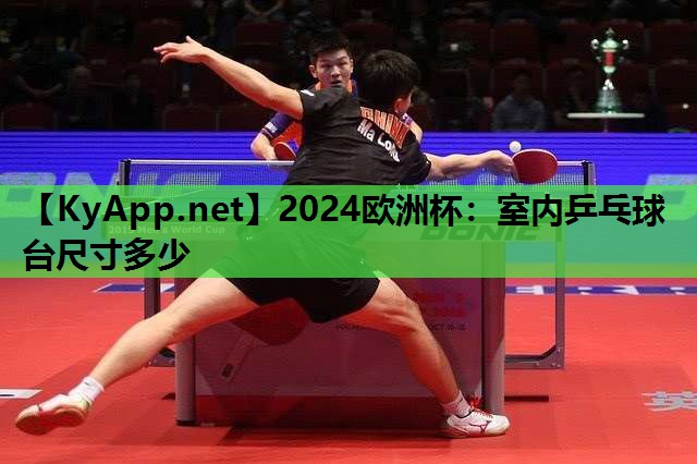 2024欧洲杯：室内乒乓球台尺寸多少