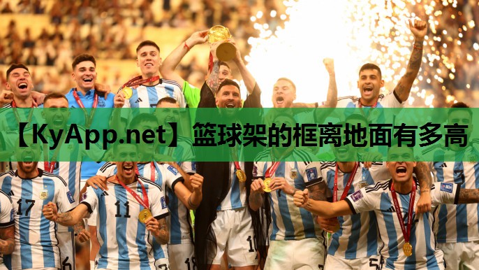 篮球架的框离地面有多高