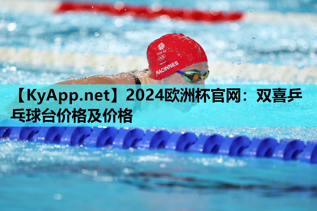 2024欧洲杯官网：双喜乒乓球台价格及价格