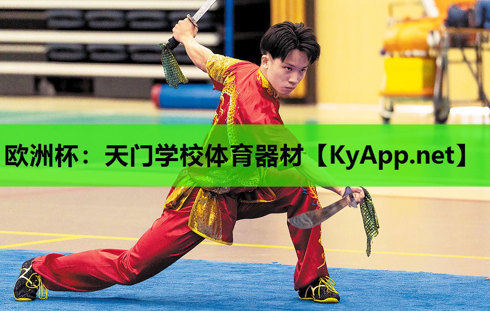 欧洲杯：天门学校体育器材